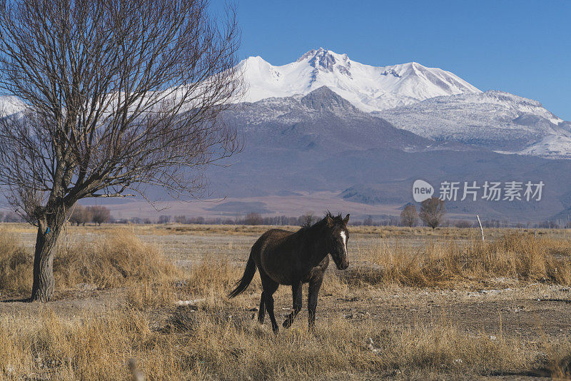 马和埃尔吉耶斯山景