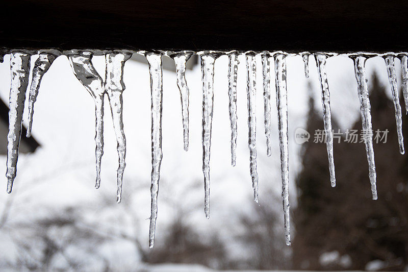 日本北部寒冷的冬天，屋顶上结冰的冰柱