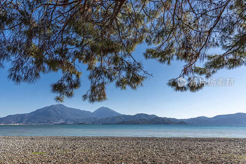 卵石海岸，山峦和松树的树枝覆盖蓝天