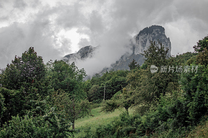 美丽的奥地利乡村景观