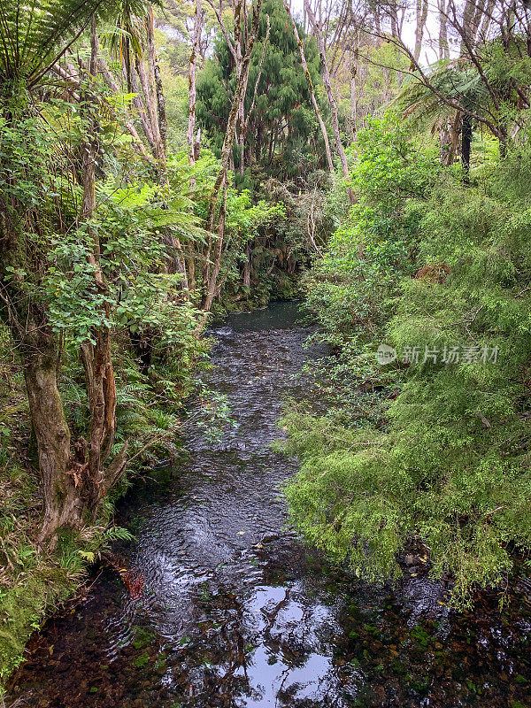 贝壳小径，北岛，新西兰