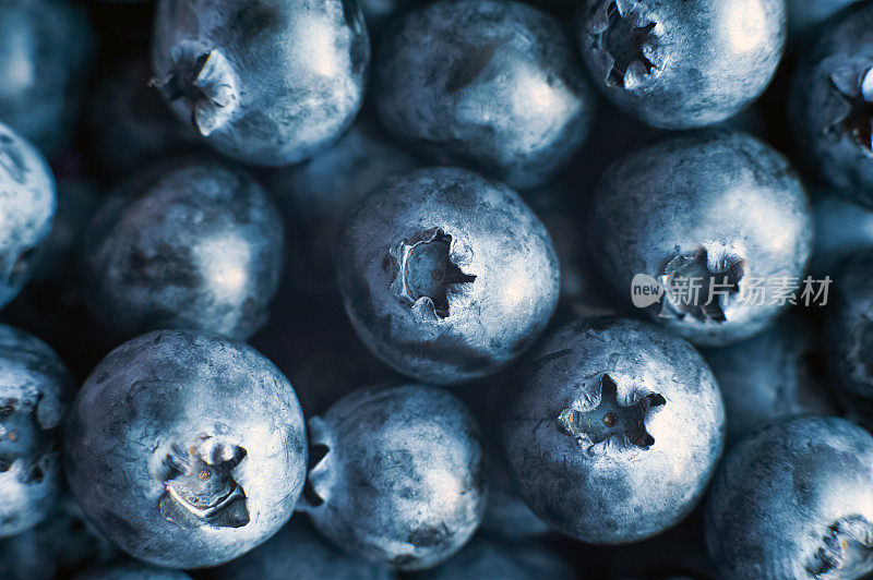 纹理成熟的蓝莓特写…夏天……