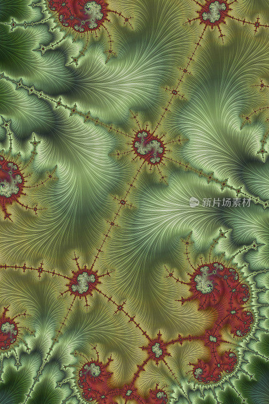 鸟瞰图植物学分形