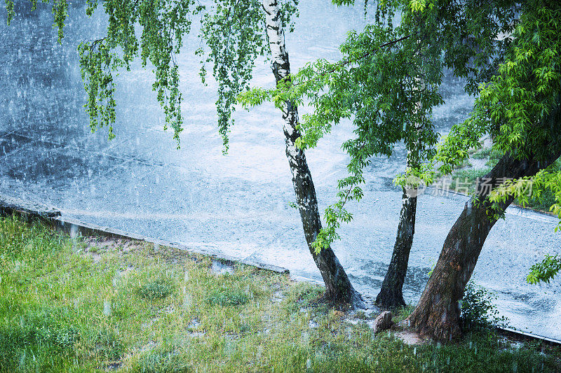 夏季潮湿多雨的天气。雨滴正在下降。沥青上的水坑。秋天的雨。