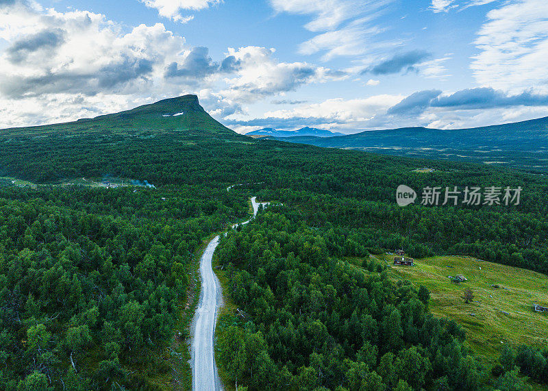 道路穿越绿色森林景观