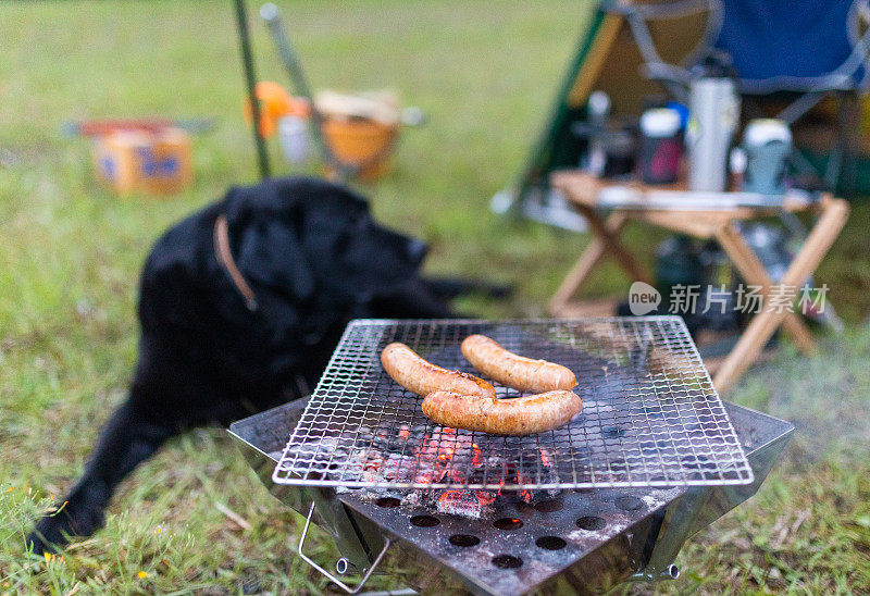 露营时用烧烤架烤香肠和狗