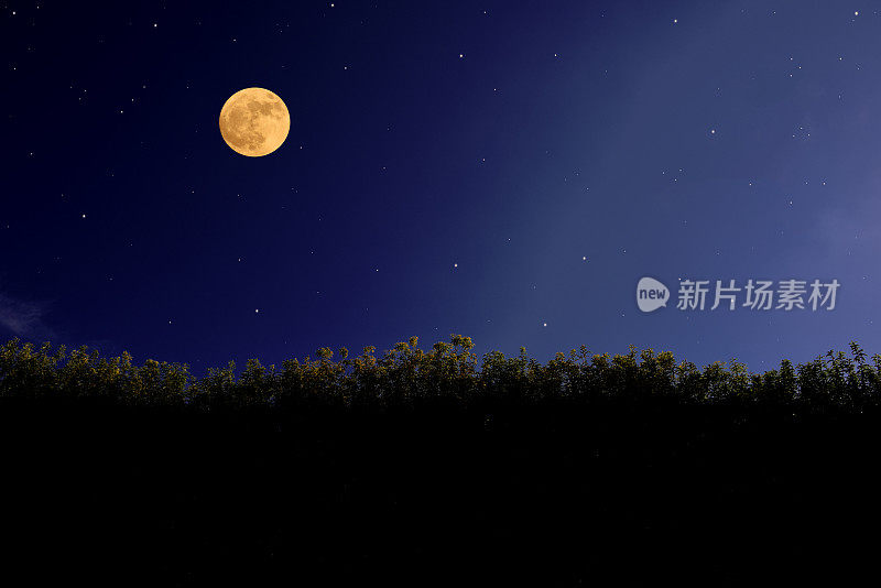 一轮满月从绿色的大树篱上升起，还有许多星星