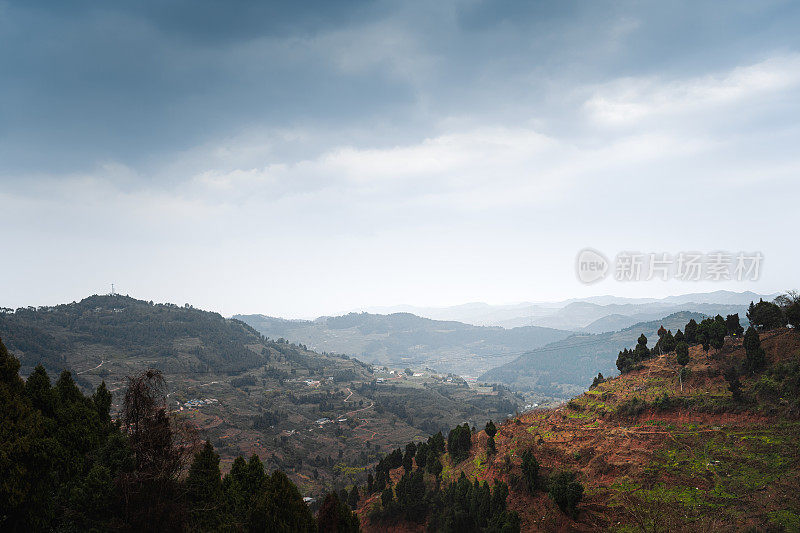 在清晨的山上