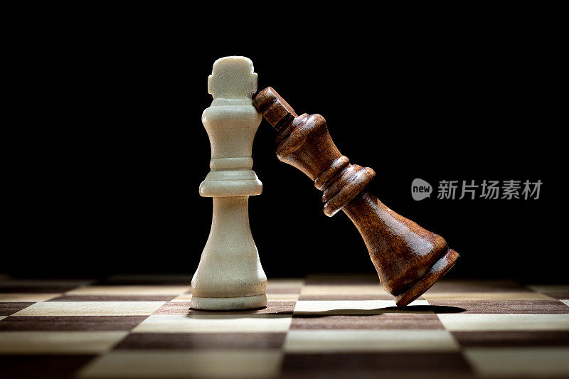 国际象棋王