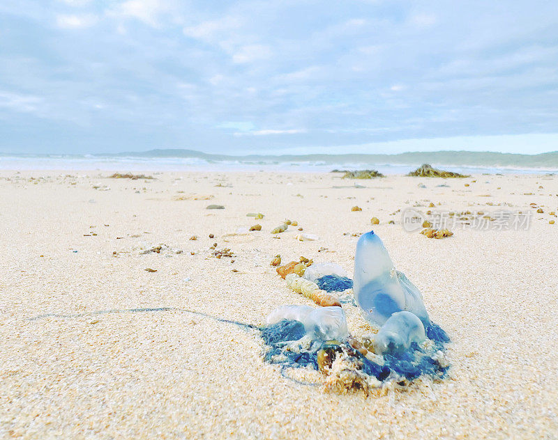 海滩上的葡萄牙人