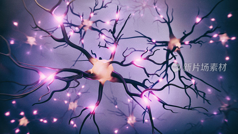 神经细胞图像的三维渲染