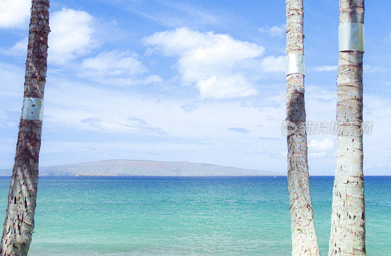 夏威夷海洋