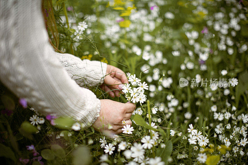 女人的手触摸春天的花朵