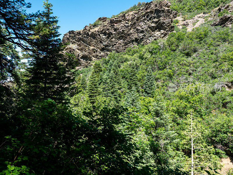 瓦萨奇山脉峡谷山坡细节。