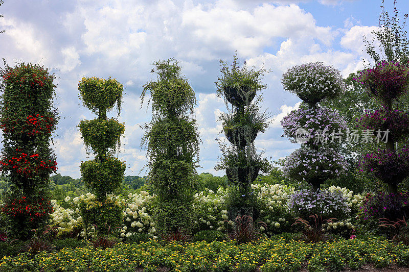 一堆高大的盆花植物