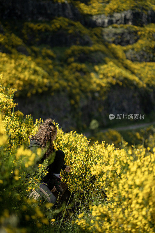 享受热带气候的游客被这些花惊呆了。用手机垂直影像拍花