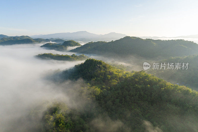 清晨的风景，金色的光线，日出，雾气笼罩着森林。