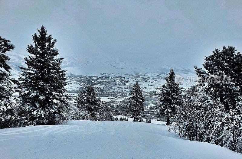 深粉日在北欧山谷滑雪胜地，犹他州。