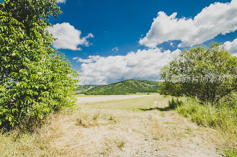 夏季田园景观