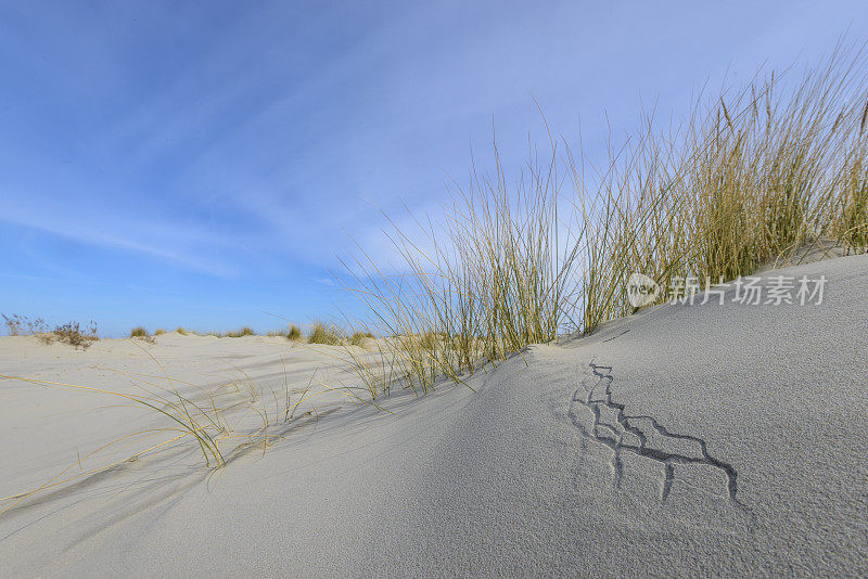 海滩上的小沙丘