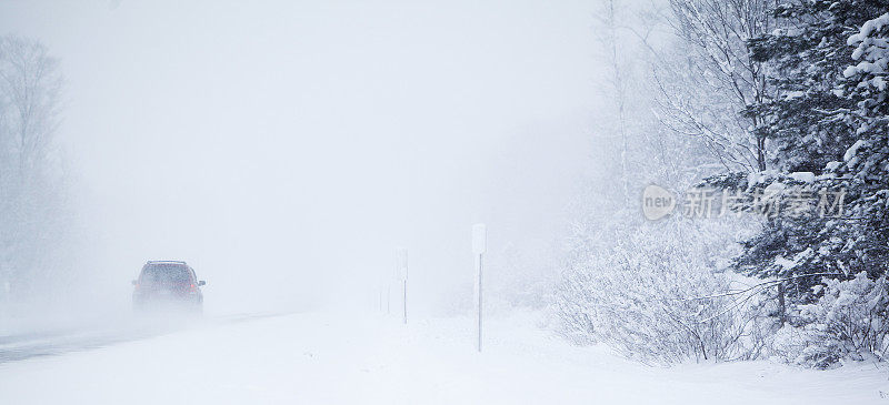 暴风雪在冬季森林的道路上