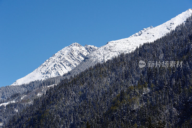 雪山和森林