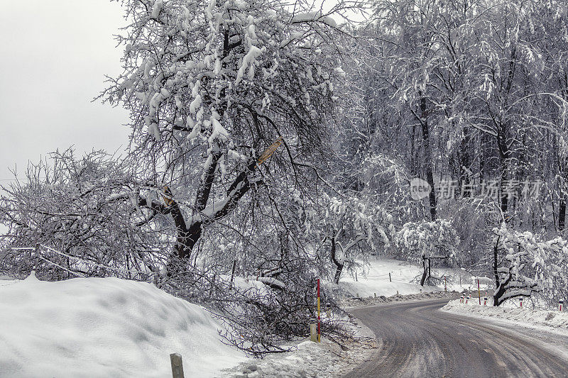 冬季冰雪破坏