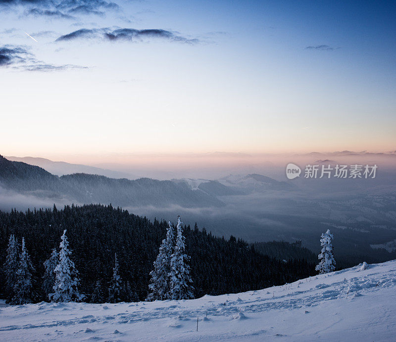 自然景观的山脉和杉树覆盖在雪