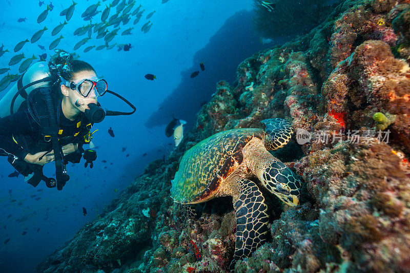 妇女潜水员探索海底
