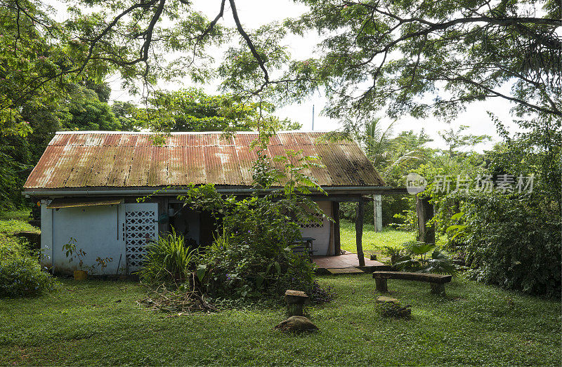 丛林小屋