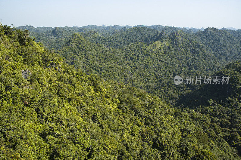 越南下龙湾吉巴岛的喀斯特地貌