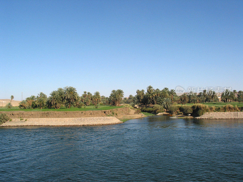 埃及尼罗河沿岸的农田