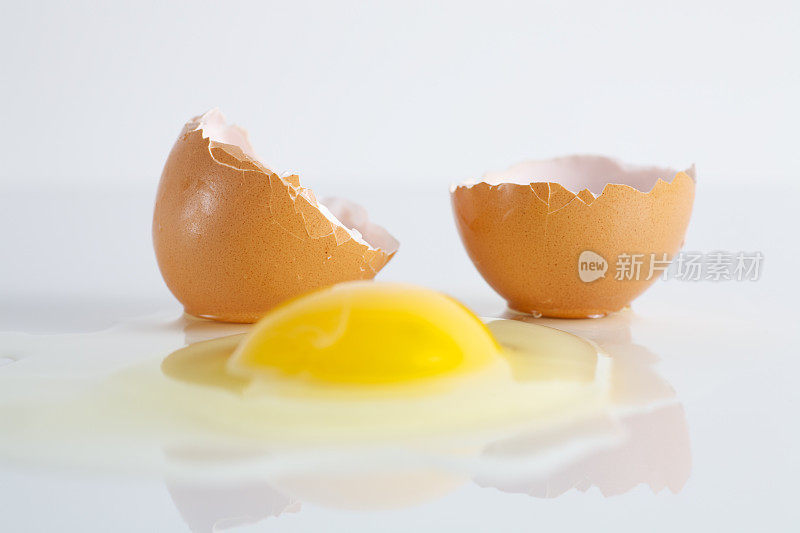 蛋壳和蛋黄