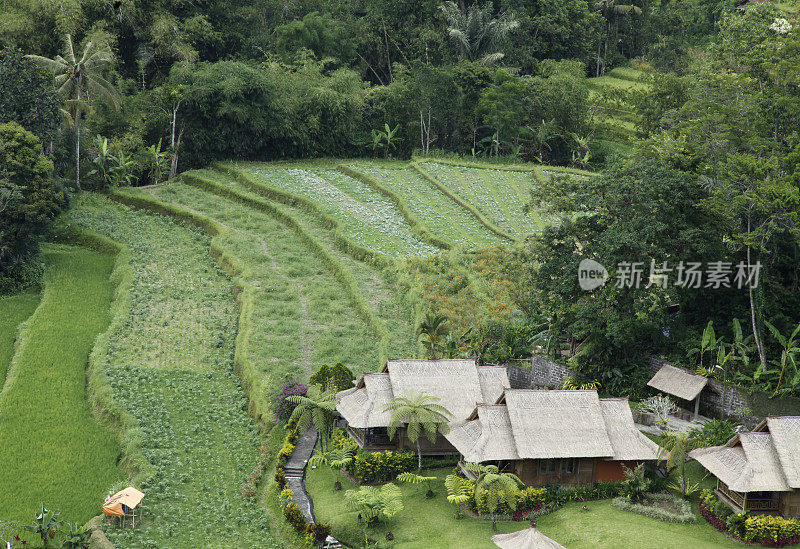 印尼巴厘岛的酒店