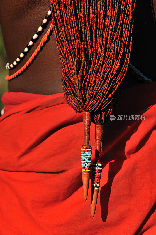 传统马萨伊战士辫子的细节