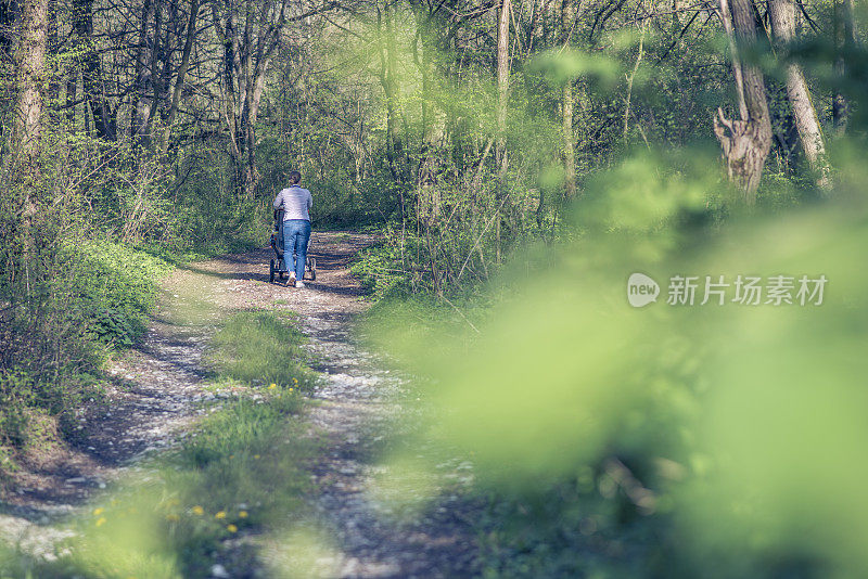 在森林中漫步