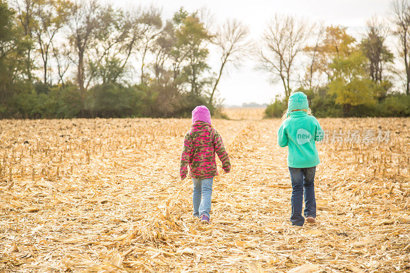 秋天，女孩们走过收获的玉米田