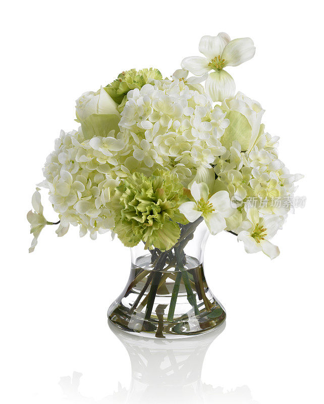 山茱萸和康乃馨花束的白色背景