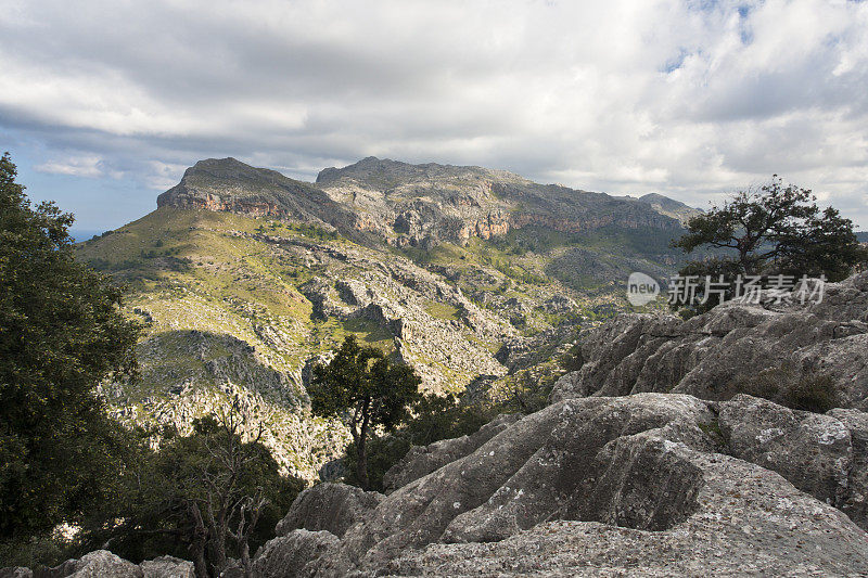 马略Tramuntana,