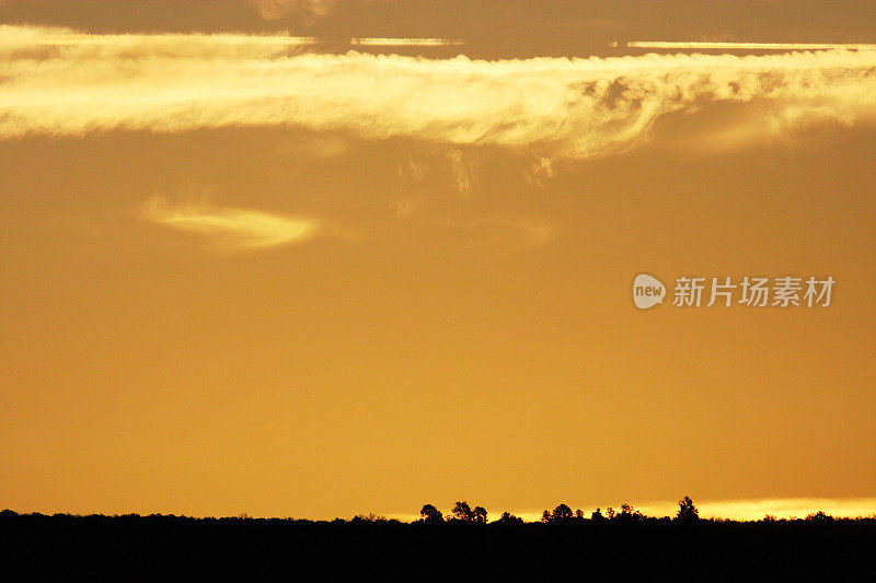 日出景观剪影芥末天空