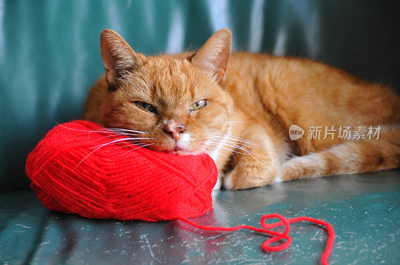 红猫毛织的沙发有划痕