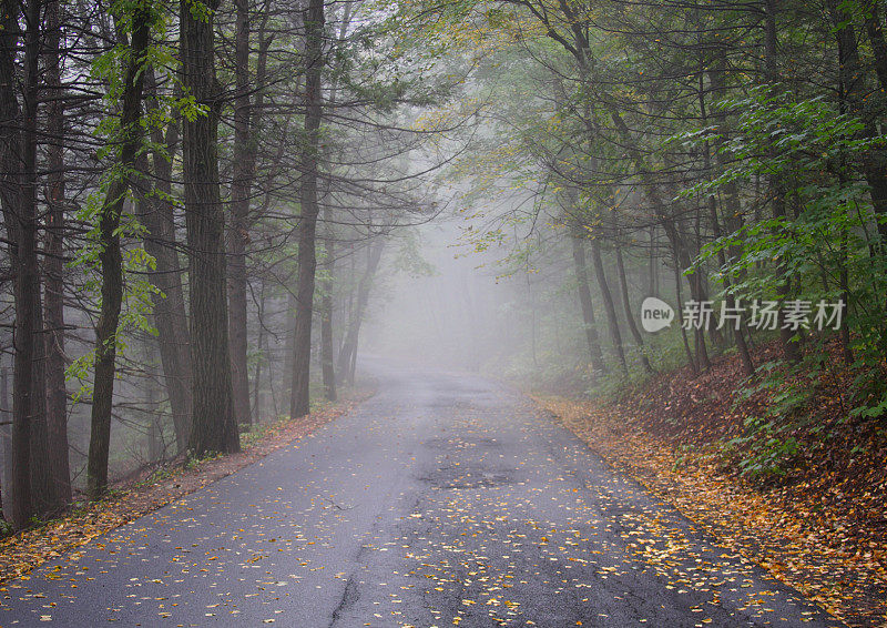 模糊的道路