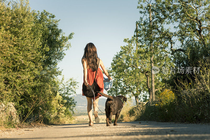 女孩带着宠物狗走在乡间的路上