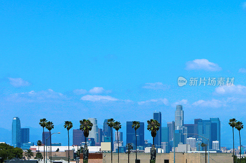 洛杉矶天际线棕榈树
