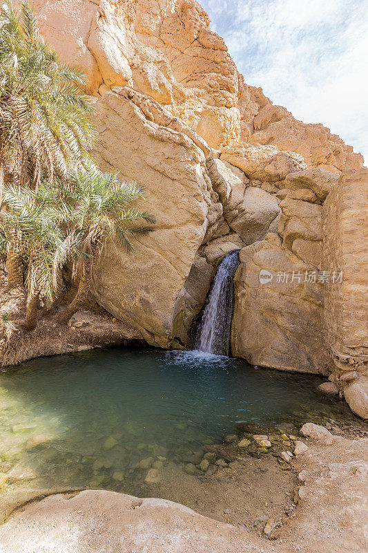 突尼斯撒哈拉沙漠的切比卡山绿洲