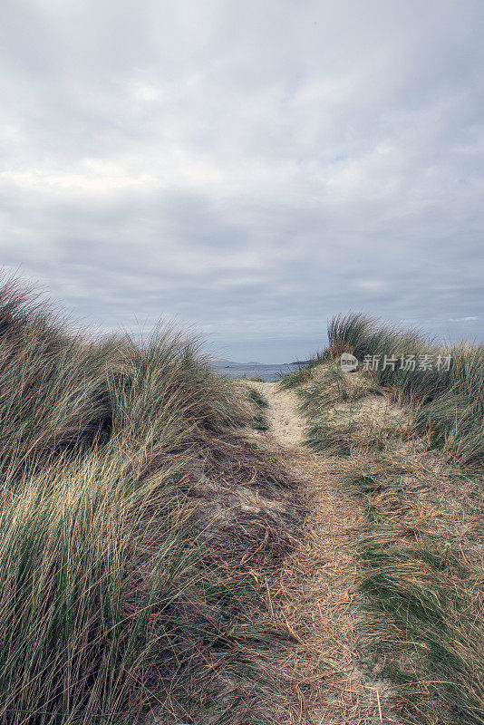 沙丘景观背景与复制空间拍摄在爱尔兰