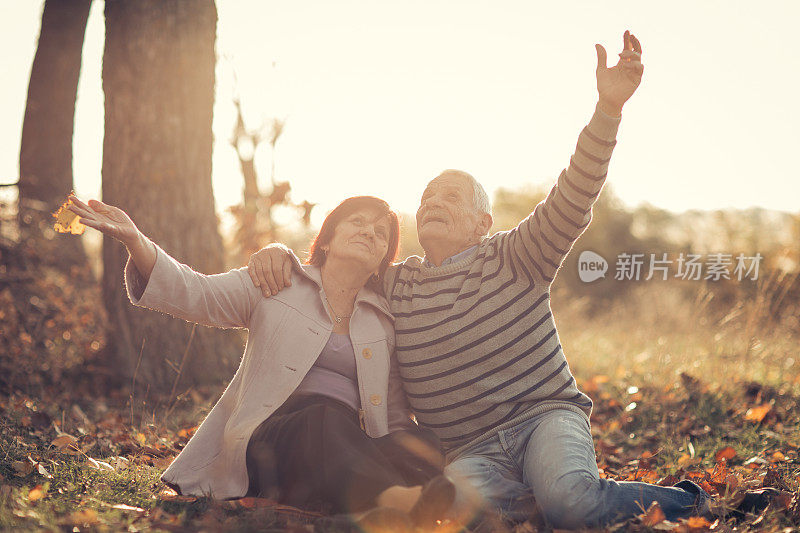 在阳光明媚的秋日，一对老年夫妇在大自然中