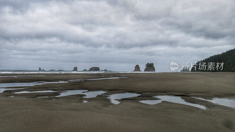 卡拉洛克，红宝石海滩潮汐池，奥林匹克国家公园，华盛顿