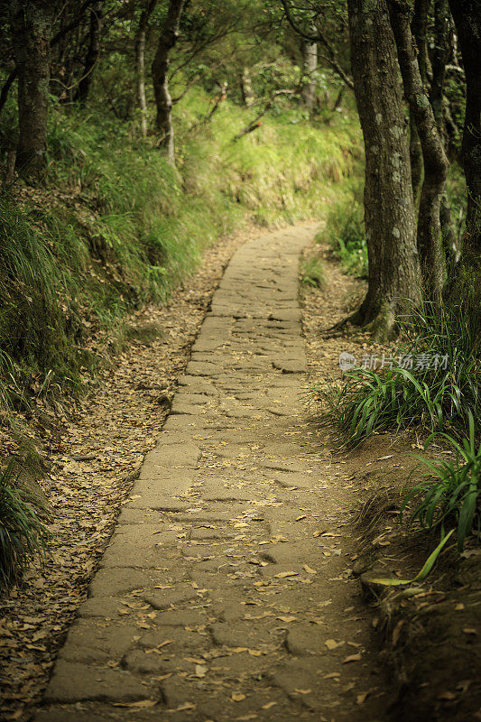 在马德拉岛徒步旅行