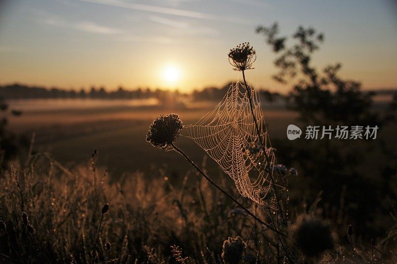 新的一天的开始